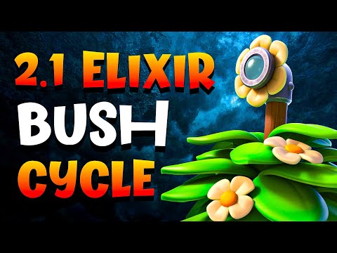 2.1 FAST Suspicious Bush Cycle is IMPOSSIBLE to Stop