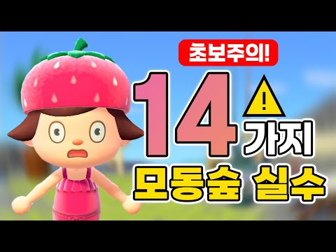 모동숲 초보라면 꼭 하는 실수 14가지⚠️+ 해결 팁❗️