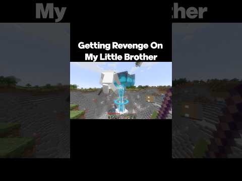 Why I Don't Play Minecraft With My LITTLE BROTHER #minecraft  #minecraftmemes