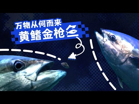 从深海到餐桌，想吃金枪鱼还能自己养？