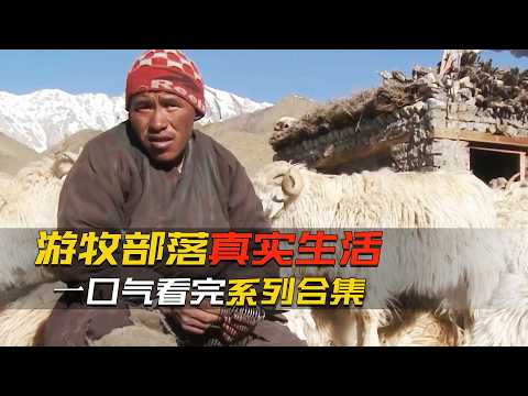 一口氣看完，不同遊牧部落真實生活合集，有的生活在海拔4500米的高山，要不停遷徙每年要搬6次家