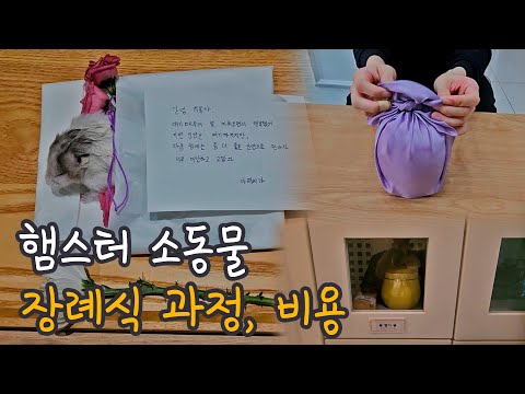 햄스터, 소동물 장례식 과정과 비용 정리(반려동물 장례식장)