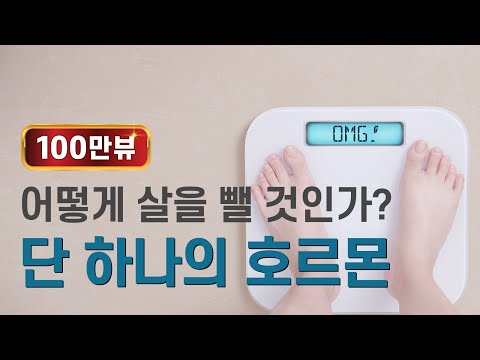 살을 빼기 위해 알아야 하는 단 하나의 호르몬 인슐린