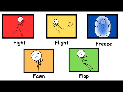Every Trauma Response Explained in 4 minutes