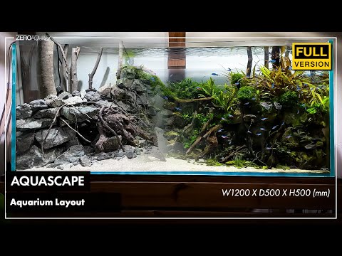HOW TO BUILD A BEAUTIFUL AQUASCAPE 2025