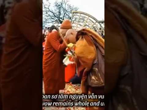 The moment that moved millions of hearts. I'm back. Walk for peace