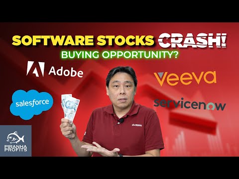 Software Stocks Crash! Buying Opportunity?