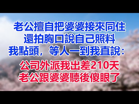 老公擅自把婆婆接來同住，還拍胸口說自己照料，我點頭，等人一到我直說：公司外派我出差210天，老公跟婆婆聽後傻眼了