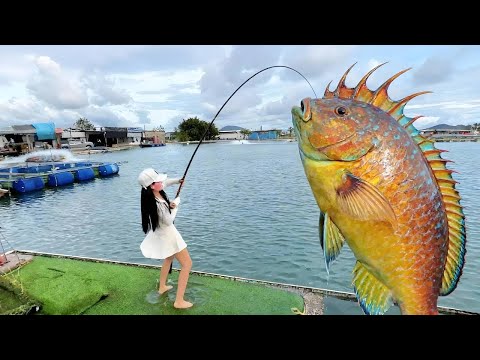 美女用黑山羊抵釣費，老闆以為血賺。直到我連桿上大貨…他慌了，開出誘人條件求我趕緊收手！【女钓友微微】