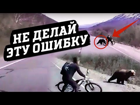 Животные в походе, которые могут УБИТЬ ВАС. ЗАЩИТА И ПРАВИЛА ПОВЕДЕНИЯ В ЛЕСУ