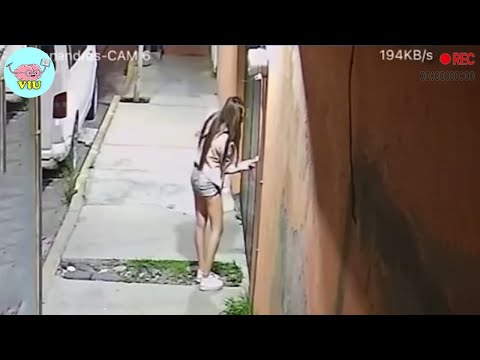 300 Incredible Moments Caught on Camera #216 | Best of the Month