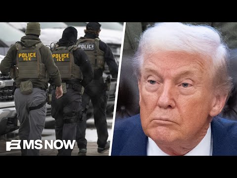 'Not a good look': Journalist reacts to immigration officials pressed on crackdown