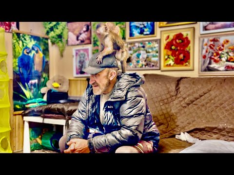 Finik loves dad Vlad MORE THAN ANYONE, if it were up to him, he would NEVER LEAVE HIM!