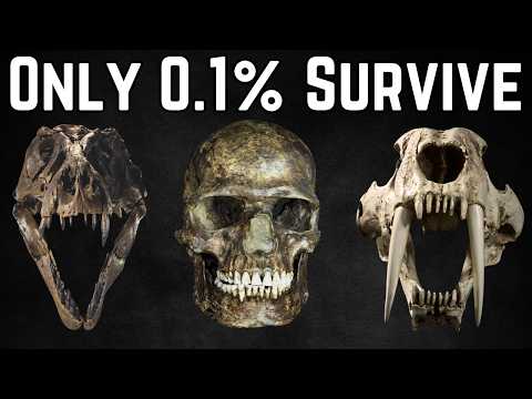 The Hidden Timer That Kills Every Species