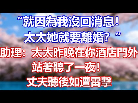 “就因為我沒回消息！太太她就要離婚？”助理：太太昨晚在你酒店門外，站著聽了一夜！丈夫聽後如遭雷擊