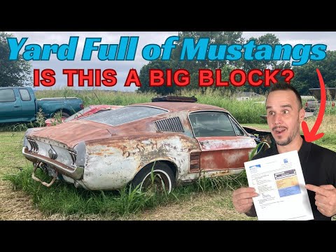 FOUND: Huge Stash of RARE Ford Mustangs while buying a 67 Fastback !