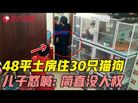 母子与30只猫狗蜗居48平老破小, 儿子崩溃怒喊: 简直没人权! #美好生活家 EP02｜FULL