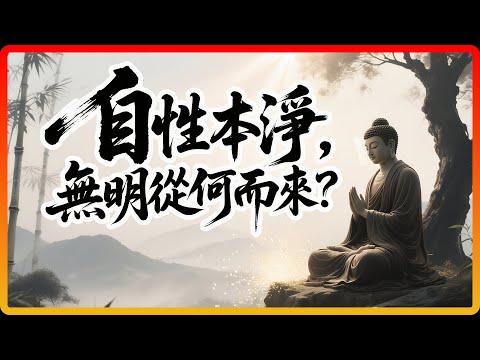 自性本淨，那「無明」從何而來？聽懂它，一生不再有內耗！#佛教故事 #佛法 #修行 #開悟 #楞嚴經 #自性 #無明