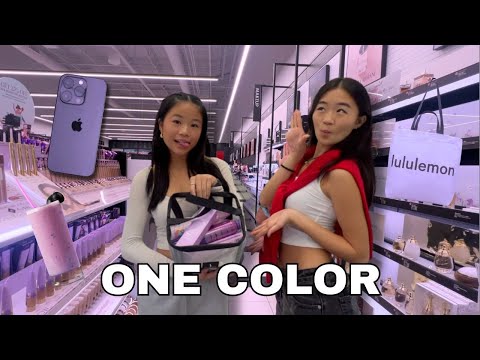 BUYING Everything in ONE COLOR for my little sister!!  *NO BUDGET *