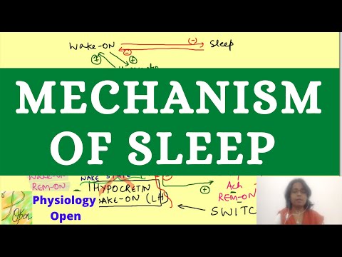 Mechanism of sleep physiology | CNS physiology mbbs 1st year lecture