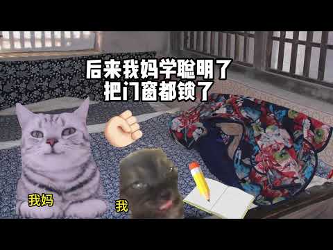 猫meme的日常-当你哥把你卖了是什么体验#猫meme #猫meme小剧场 #猫meme剧场 #内容过于真实 #搞笑