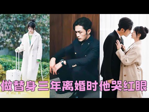 Everyone thought she would cry on the day of divorce, but CEO cried for three days and three nights