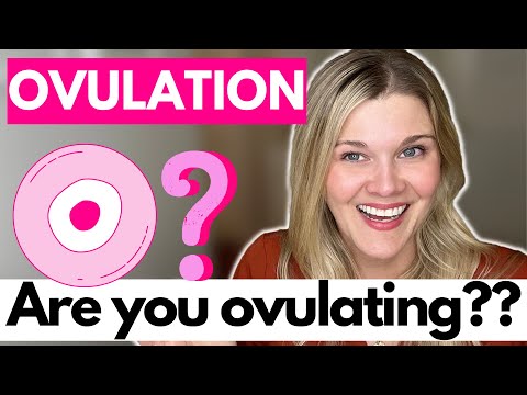 Ovulation: Are You Ovulating? What Are The Signs You Are Not Ovulating?