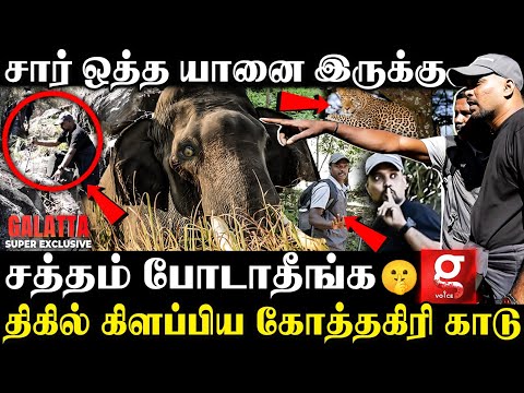 🐆சிறுத்தை தண்ணி குடிக்க வர நேரம் இது😳இங்க நிக்குறதே ஆபத்து😱| Kotagiri Visit