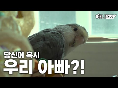 Do you know my daddy?