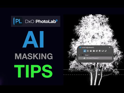 5 Essential DxO PhotoLab 9 AI Masking Tips for Faster, Cleaner Edits