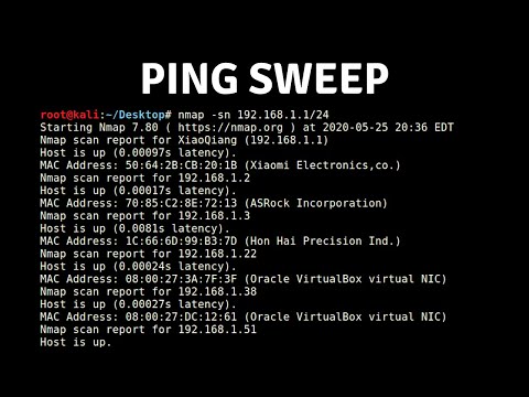 Nmap - Host Discovery With Ping Sweep
