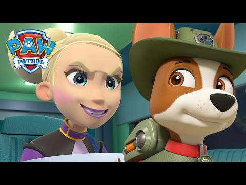 叢林拯救隊的狗狗們阻止了獵豹破壞樹木！- PAW Patrol 汪汪隊立大功 - 兒童卡通