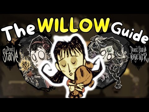 The Complete WILLOW Guide