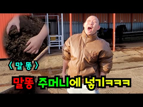 말똥 꽉 쥐고 주머니에 넣기ㅋㅋㅋ