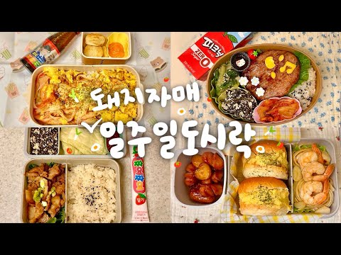 A Week of Lunchboxes Taken by the 20-Something Pig Sisters!🐽 Collection #55