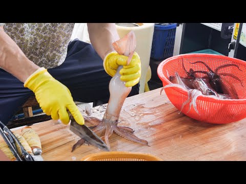 크기부터 다르네요! 싱싱한 활오징어 부터 3kg 대물 장어까지 순식간에 썰어 버리는 전설의 남창 칼잡이 ( 전어 , 대물장어,오징어,광어) Korean Sashimi Master