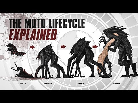 The BLOODY MUTO Lifecycle EXPLAINED