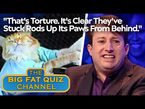 David Mitchell Doubts The Internet's Even Fun Anymore | Big Fat Quiz