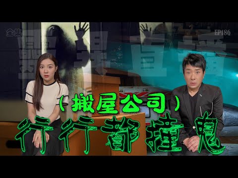 靈異直播#186| 行行都撞鬼(搬屋公司)|真實靈異故事|十點開播!|梁思浩|世界鬼故事|通靈之王|分梳儀式