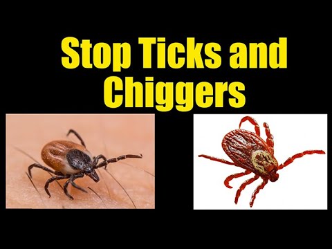 Prevent Ticks and Chiggers on Body and Yard