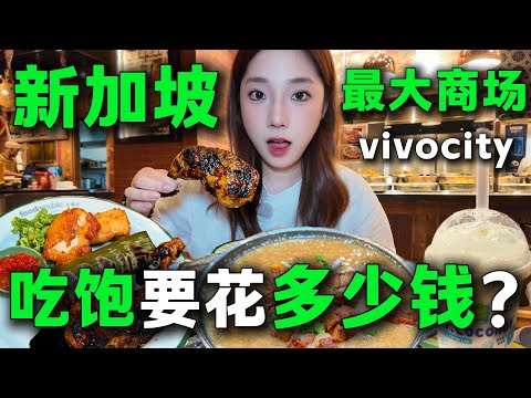 在新加坡吃一頓直接掏空錢包！隱藏在商場的美味，用人民幣感受新加坡的物價，直呼「玩不起」。旅居美食丨購物丨Vivo City
