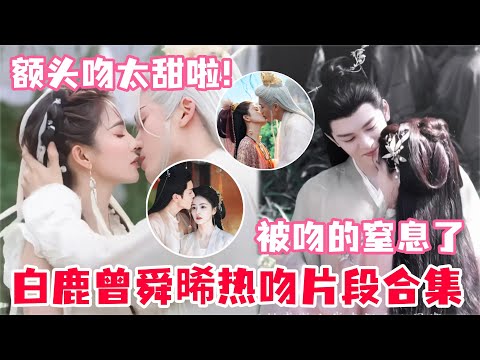 这就是曾舜晞说的最难忘的戏？在高温下吻了白鹿两个小时！吻到两个人了都窒息了！#白鹿 #曾舜晞 #临江仙 #cdrama #drama #bailu #joseph