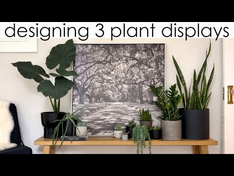 Designing with Plants: 3 Plant Displays in Different Styles