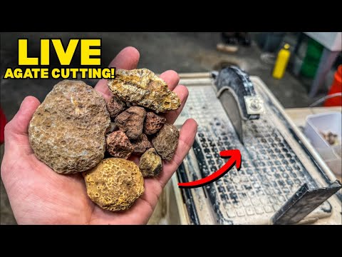 LIVE Agate Cutting Session | Rough Mineral Reveals! Taylor's Rocksmithery