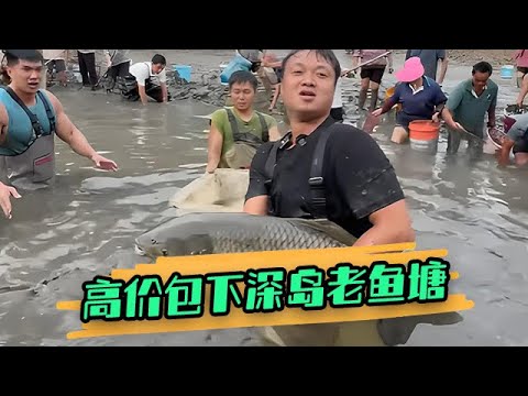 和孫良軒花高價包下深島老魚塘，最後是血賺還是血虧？ #戶外 #大表哥