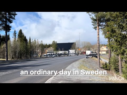 Grocery shopping/ cooking/school/ silent vlog/daily vlog .