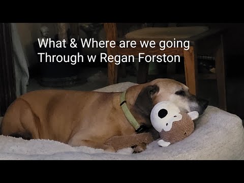 What is going on & Where are we going w Regan Forston