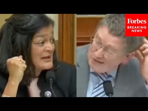 'Here's A Hypothetical That Maybe You Forgot': Jayapal, Massie Debate Gun Control Legislation