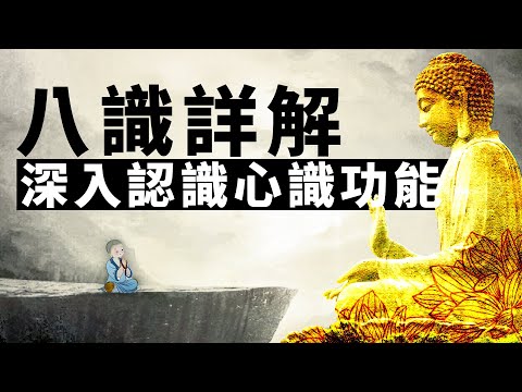 八識詳解。眼識 | 耳識 | 鼻識 | 舌識 | 身識 | 意識 | 末那識 | 阿賴耶識