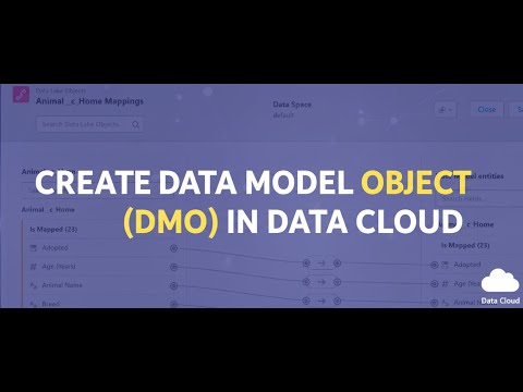 03:CREATE DATA MODEL OBJECT (DMO) IN DATA CLOUD | MAP DATA LAKE OBJECT FIELDS WITH DATA MODEL OBJECT